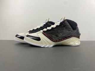 AJ Jordan 31 series
