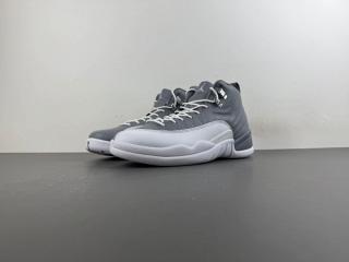 AJ Jordan 12 series